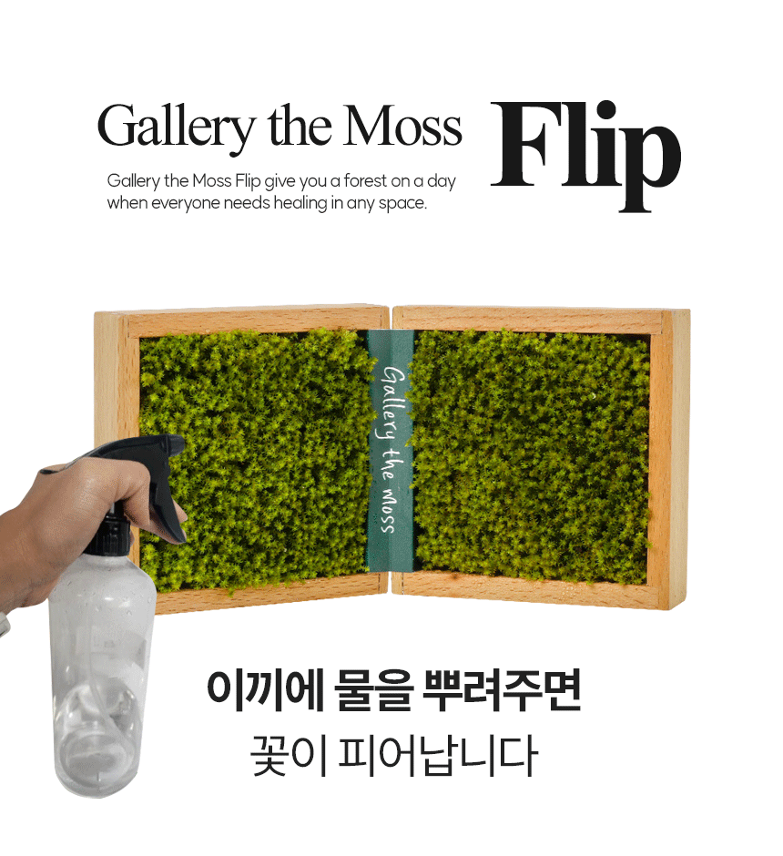 8d34f7bbefcb54207a2f9bd19d8ab7f4_1744333836_9626.gif