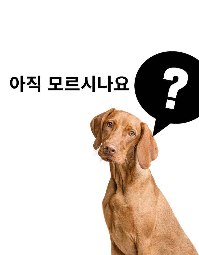 8e6a07e8d3f96dd8e0f783a837d9d0a6_1745900799_3892.gif
