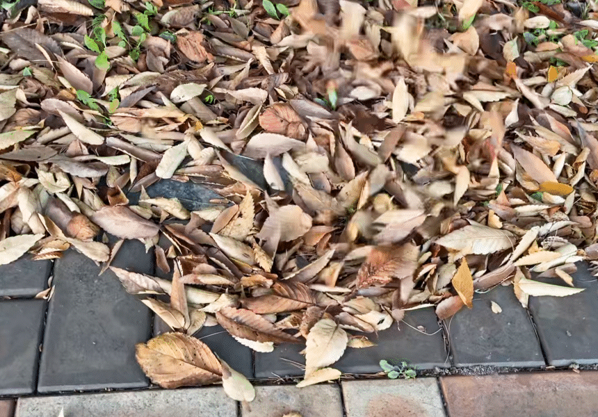 f6f383e7c8842871437fa96d8452625f_1744856505_19.gif