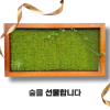[Tree100] 갤러리더모스 특별한선물 이끼액자