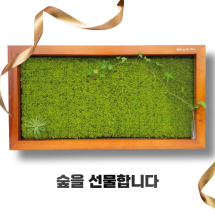 [Tree100] 갤러리더모스 특별한선물 이끼액자