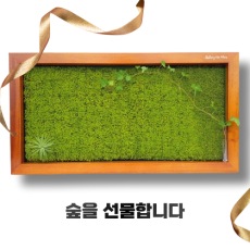 [Tree100] 갤러리더모스 특별한선물 이끼액자