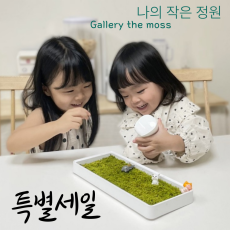 [Tree100] 살아있는 이끼액자 작은정원 갤러리더모스 답례품 축하선물 특별한선물